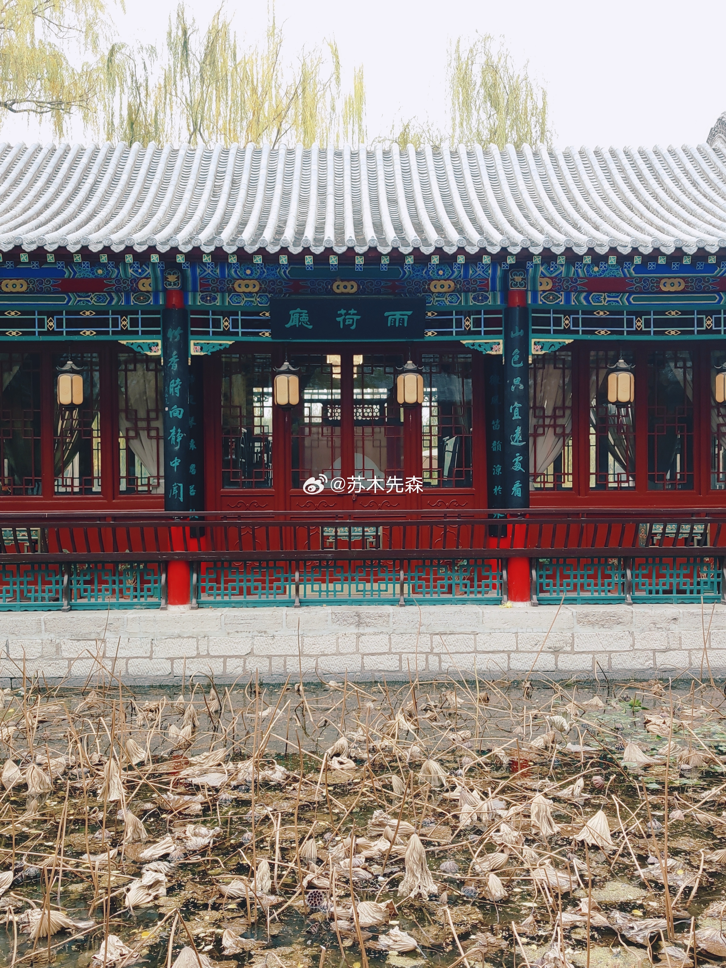 匆忙的山东行结束啦  ​​​