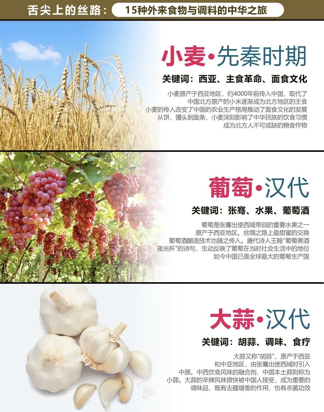 舌尖上的丝绸之路。