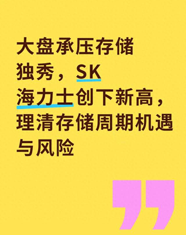 大盘承压存储独秀，SK海力士创下新高，理清存储周期机遇与风险
