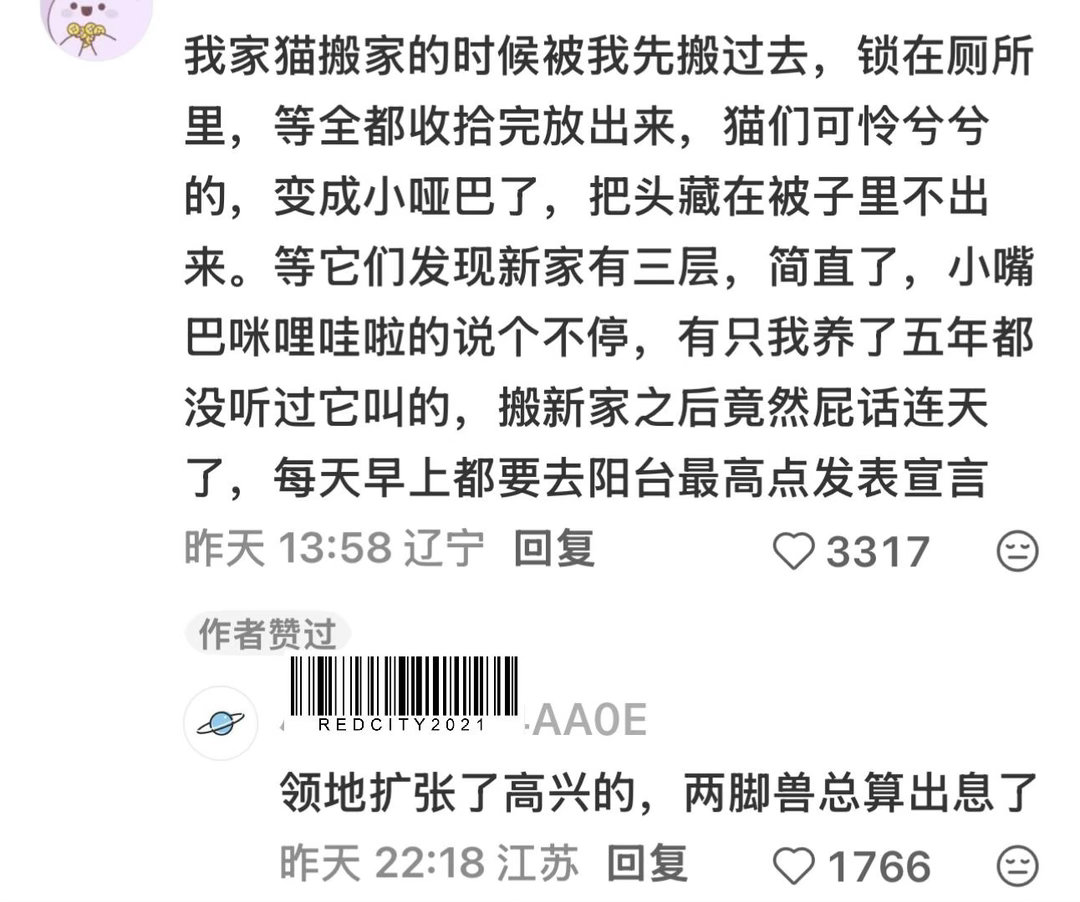 有🐈姐妹们 我们有赚钱买大别野的动力了！ ​​​
