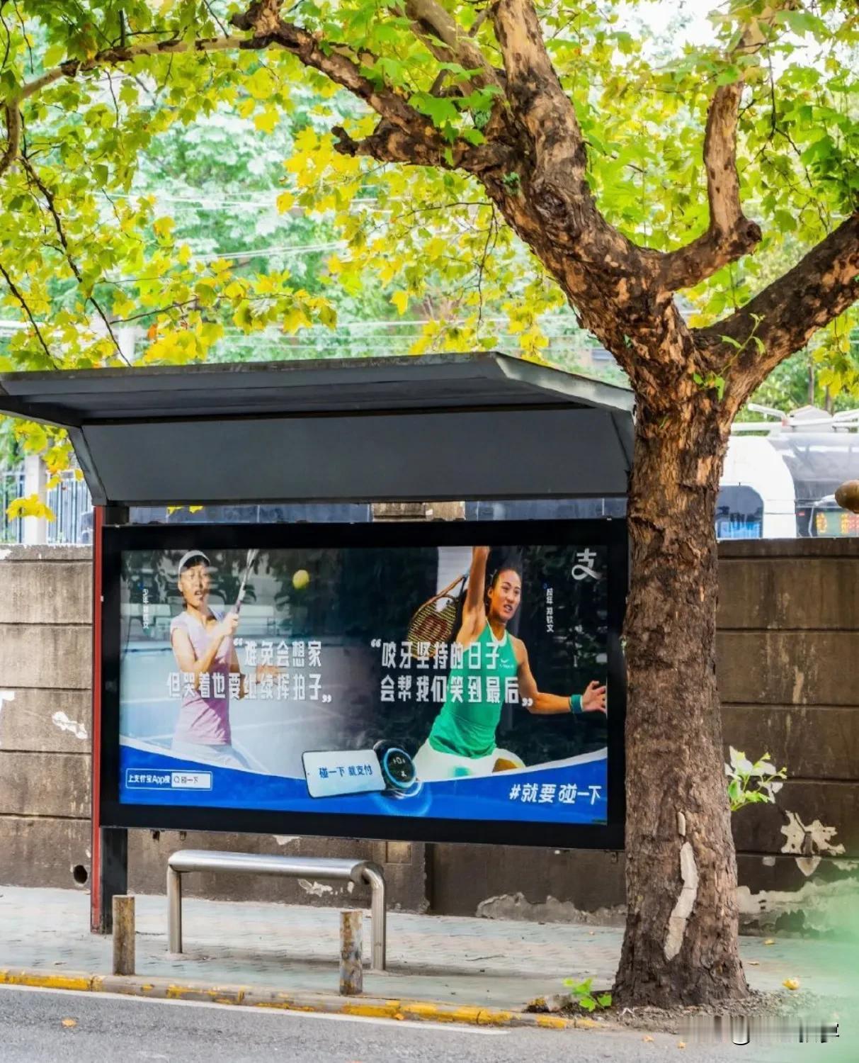 只想说：回家的感觉真好！武汉整座城都在张开怀抱欢迎郑钦文，哪里都有她的照片。
