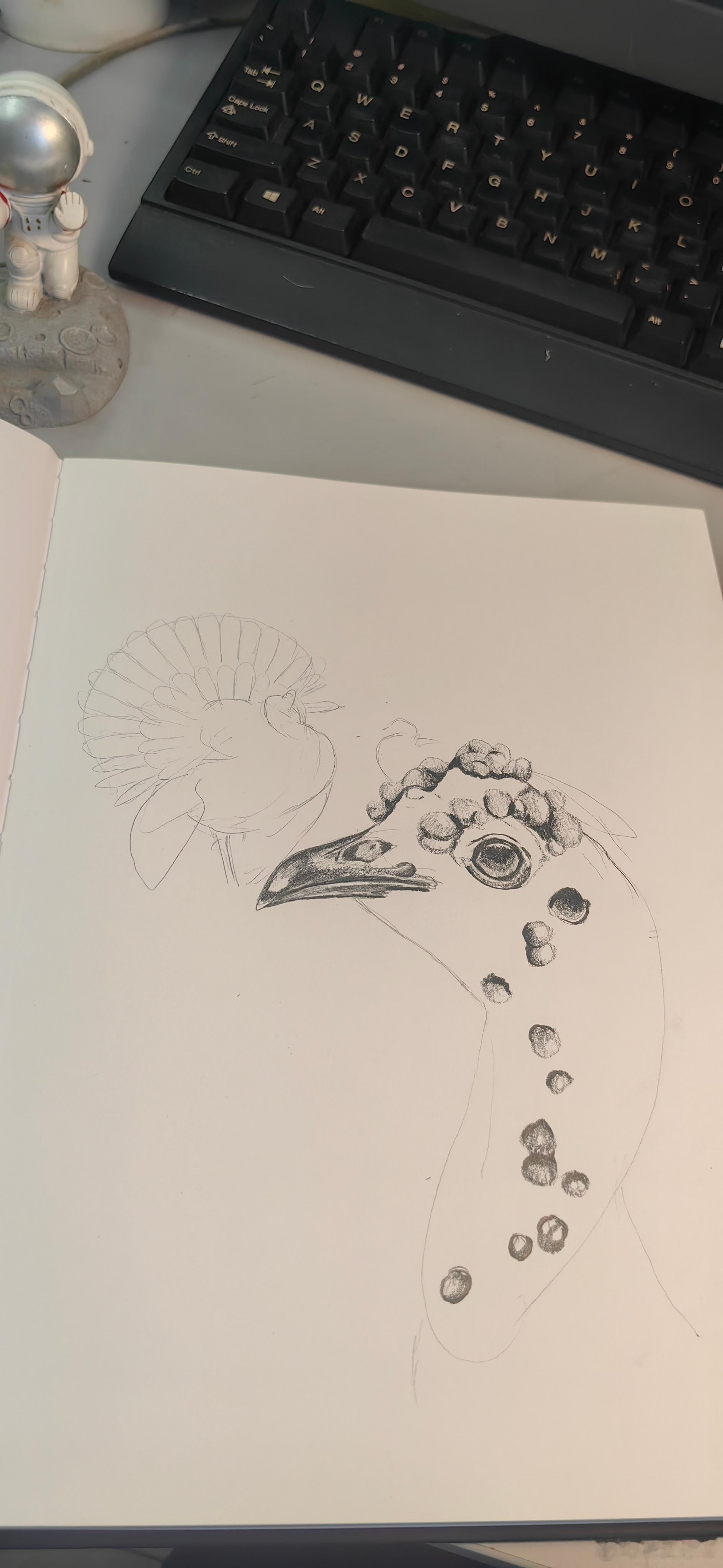 新本子   眼斑火鸡……七年前的今天，画了它亲戚[坏笑] ​​​