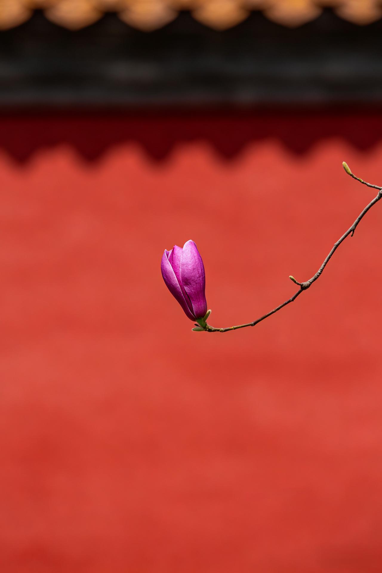 王志文在《天道》中饰演的角色说：
“我现在已经不和别人争吵了，因为我开始意识到，