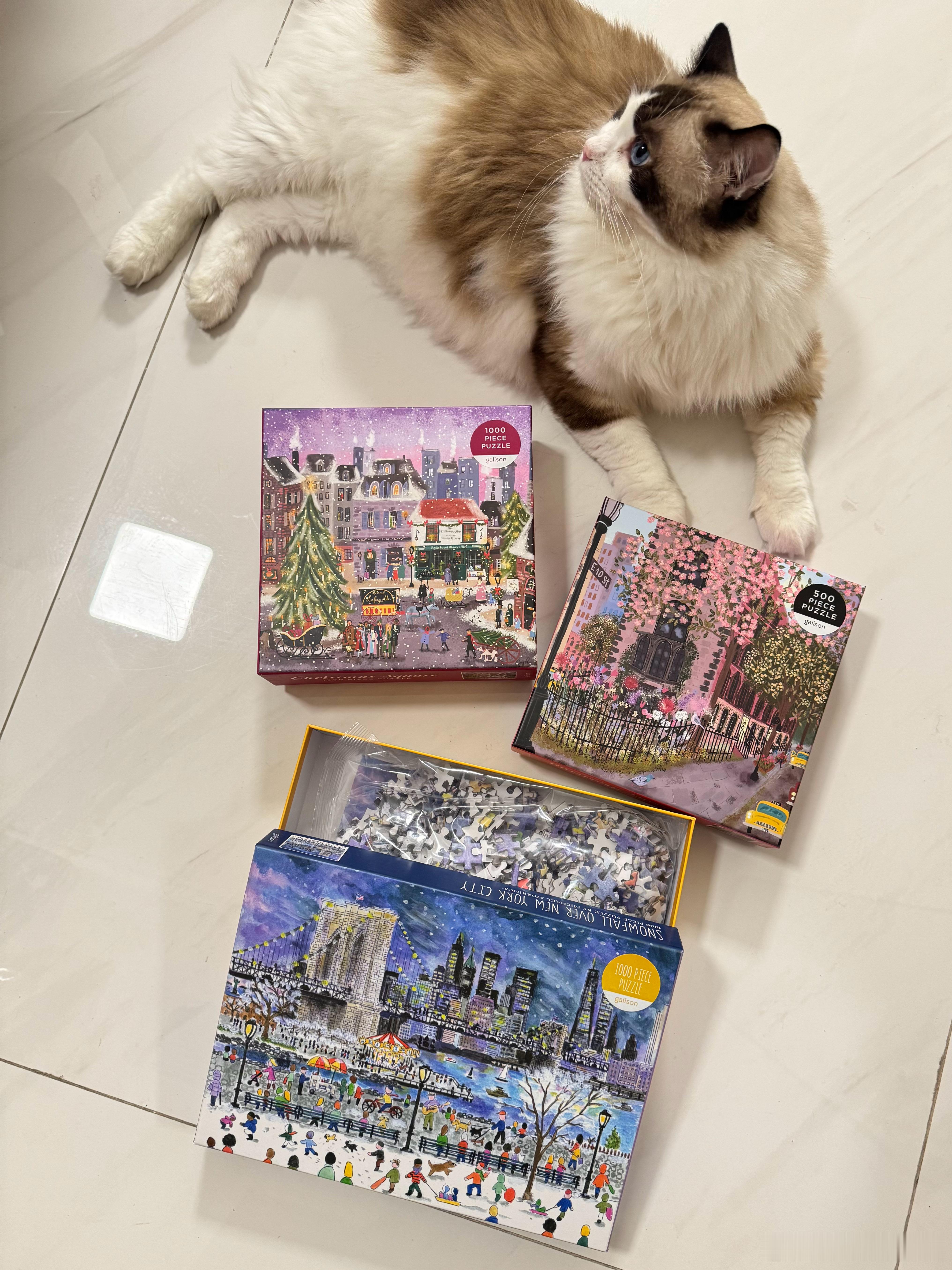 朋友送的新婚礼物有2500张拼图，由此可见我在朋友眼里是一个极其有耐心的人[喵喵