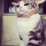镜观财富
