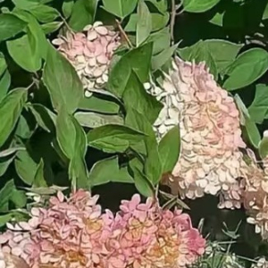 阳光信用 🌟阳光信用 🌟每日一善 相处贵在真心，朋友贵在相知。真诚相待、互相