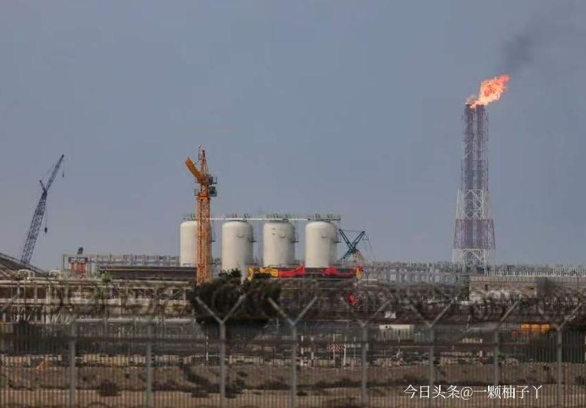 尼日利亚国家石油公司高管放出重磅消息，公司正在就两座浮式液化天然气厂推进合作谈判