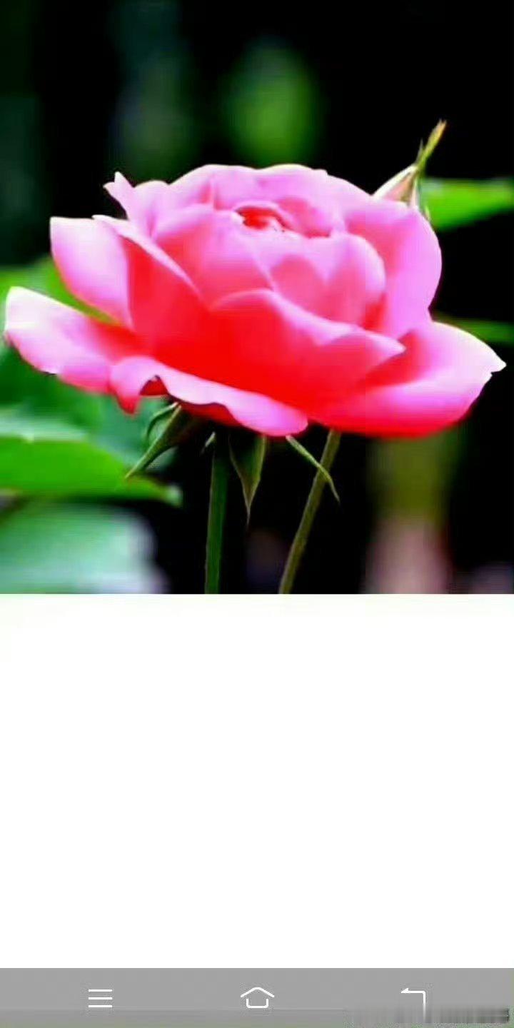 博友们，2018年什么事？长辈发大财，长辈有官非，[鲜花][鲜花][鲜花][鲜花