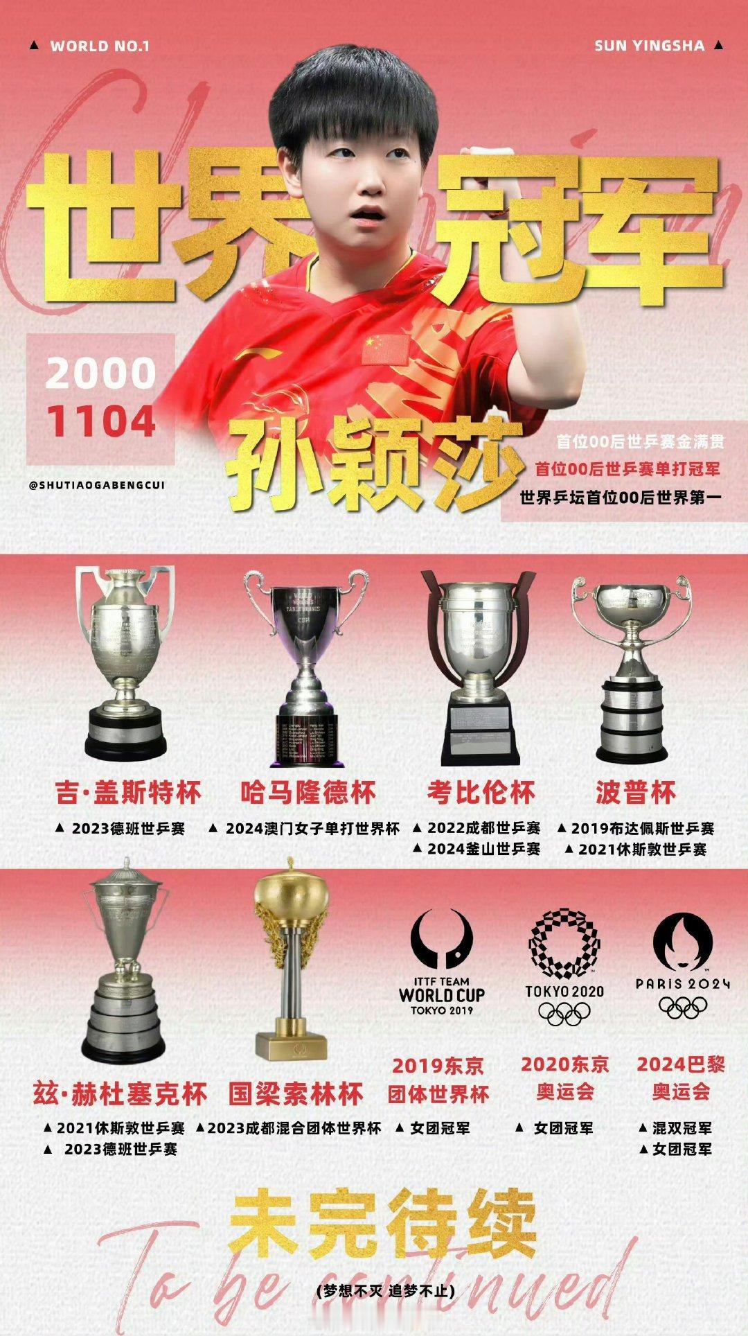 孙颖莎2024单打冠军总结 借网友一句话  2024年中国男乒年度总结：荣誉是马
