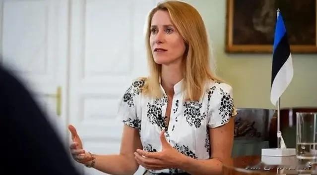 卡拉斯：欧洲国家之所以加入北约，是因为他们不希望俄罗斯入侵或攻击自己
日前，欧盟