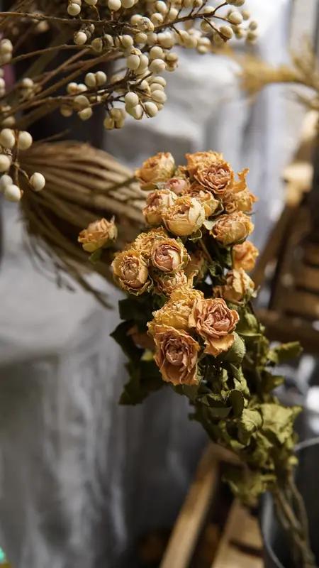 写作如酿蜜
细选花材
才能酿出佳蜜
 
别总想着取巧劲
没有凭空香甜的奇迹
好文