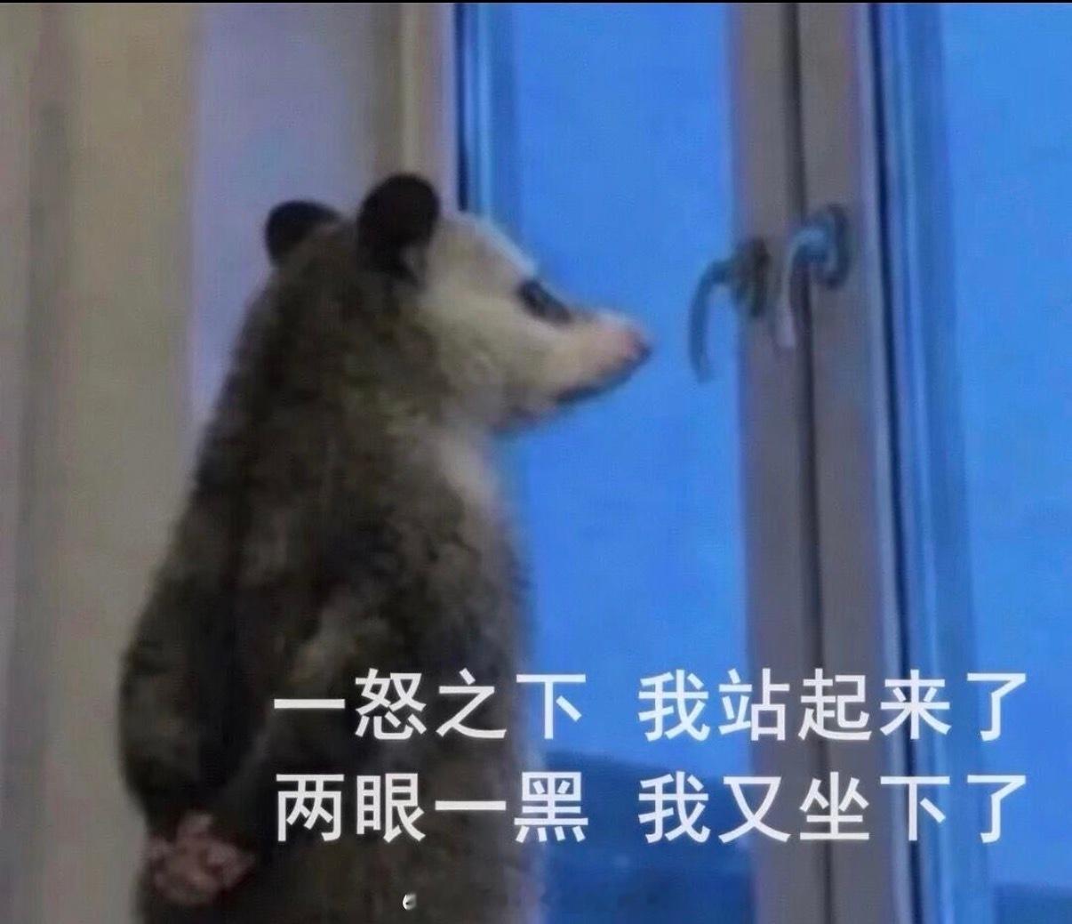 真心建议所有人都必须深入粉圈地去追一下登陆少年组合 没别的 就是觉得每个人都应该