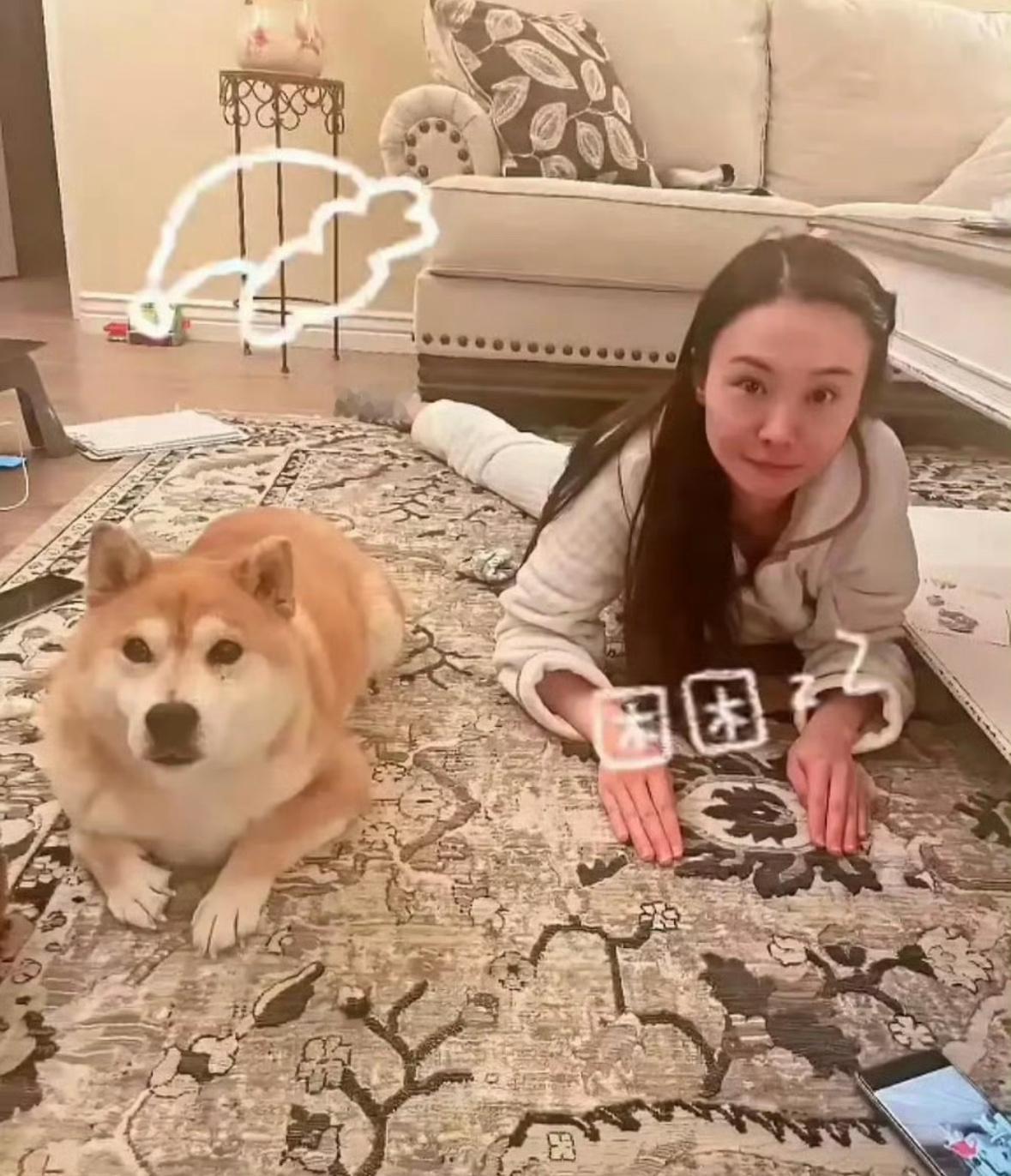 郑爽现在长这样了 