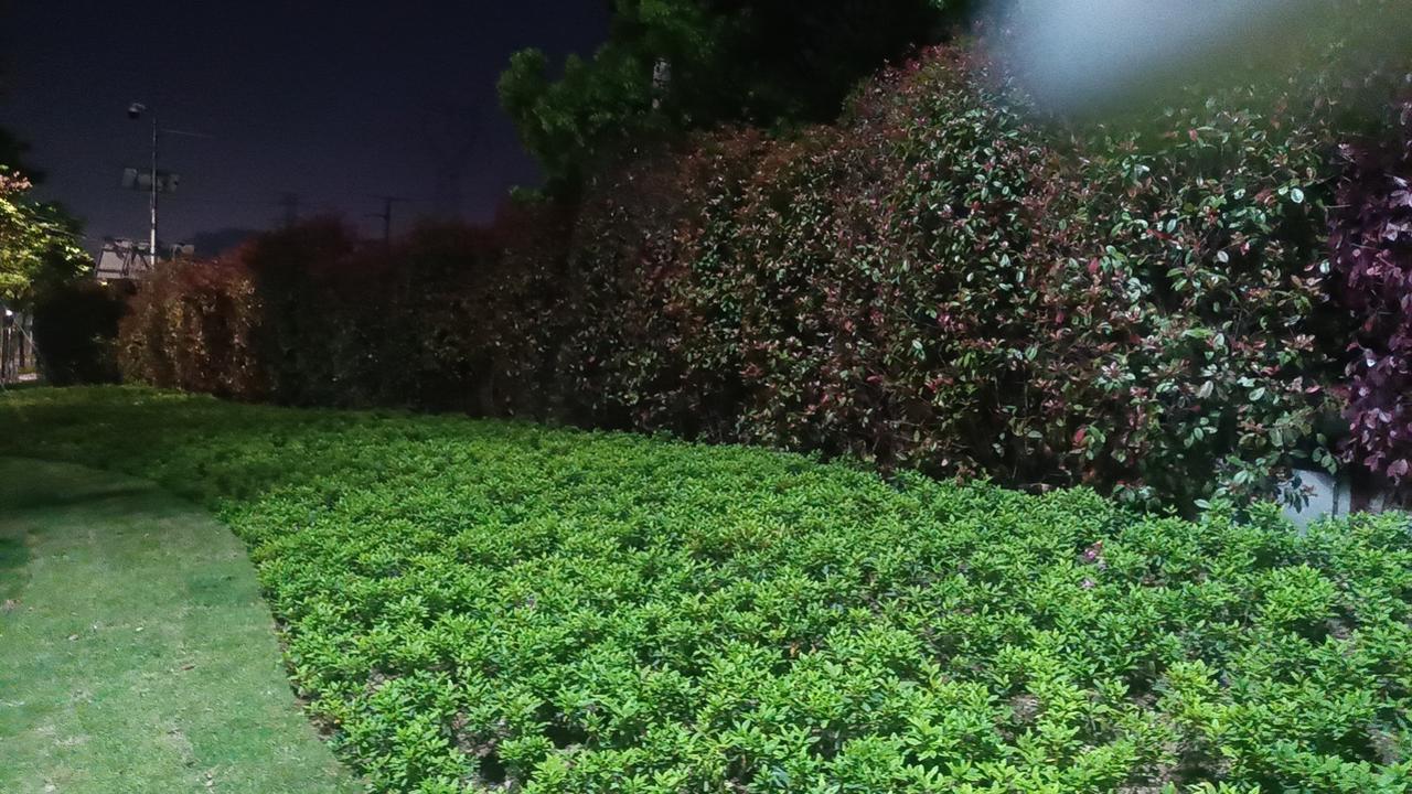 清晨醒来，是一天最温柔的开端，也是情绪最纯粹的时刻。褪去深夜的疲惫，挣脱梦境的牵