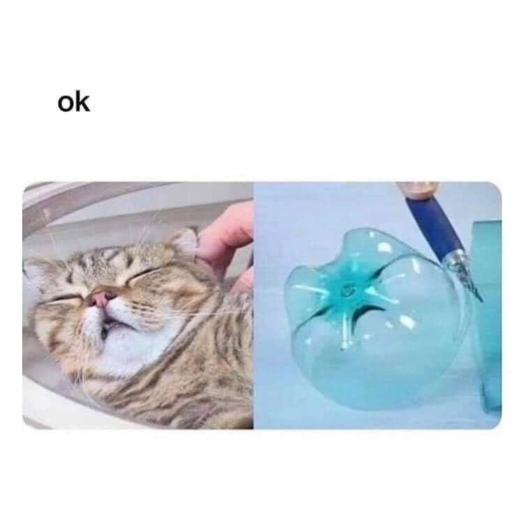[可爱] ​​​