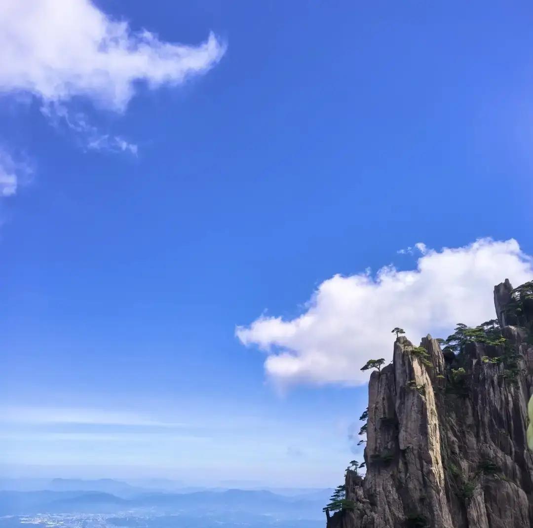 生命力旺的人一看就带劲。
我楼下卖豆浆的大姐每天五点开工，笑得跟小孩抢糖似的。