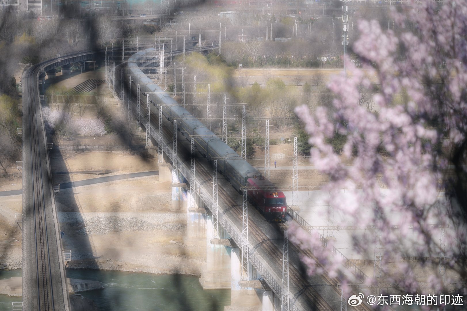 桃之夭夭 灼灼其华 若云兴霞蔚摄影北京满城春色