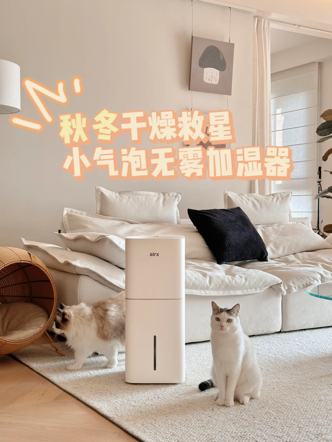 没有什么干燥是一台无雾加湿器解决不了的