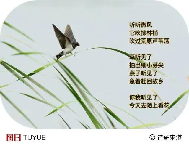 柳絮东风又轻飏，
粉桃云影染衣裳。
徐徐一卷春图画，
添笔草芽也芬芳。