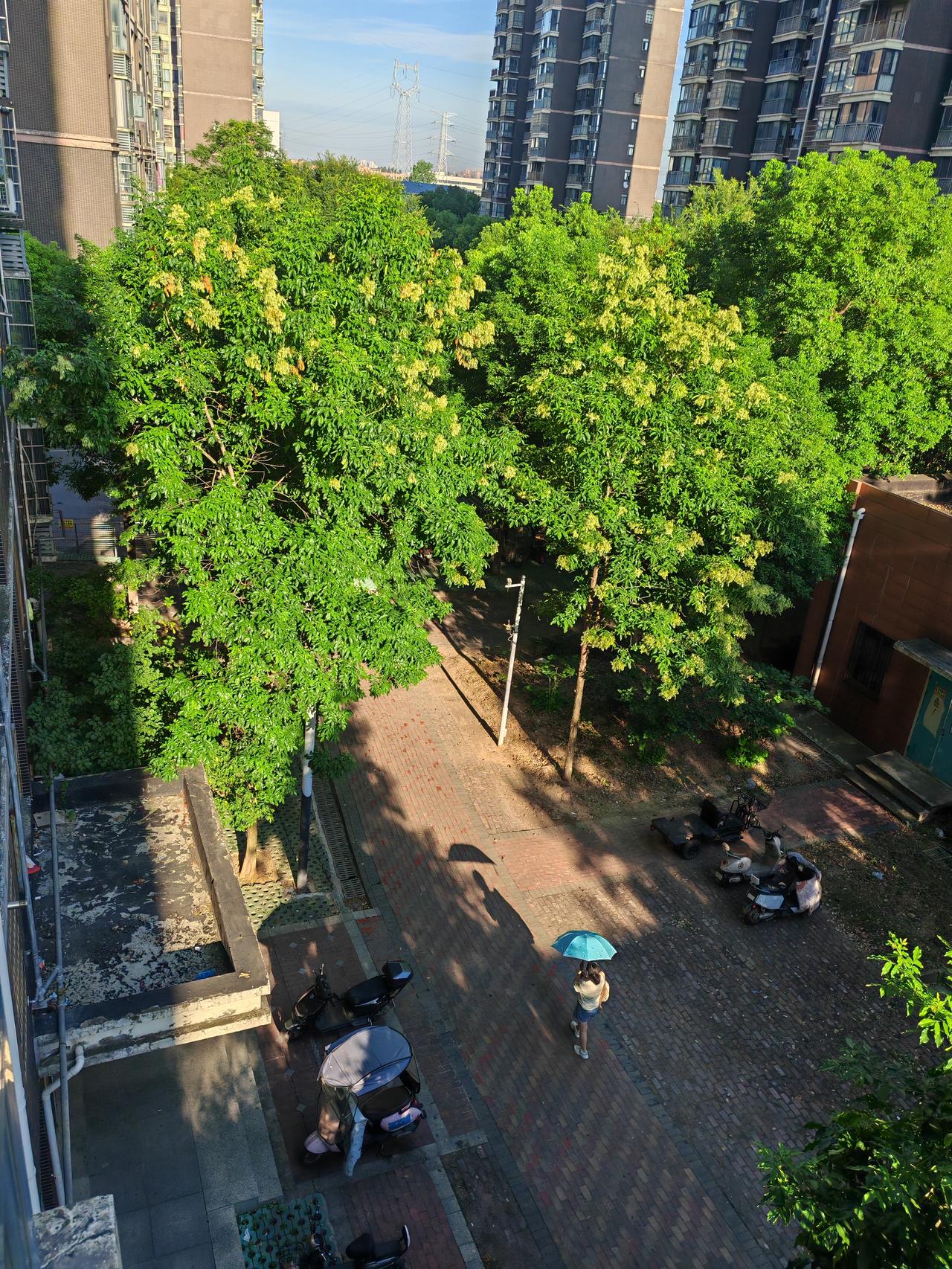 8月3日，武汉晴天多云，高温来袭，高温橙色预警，防暑降温不松懈，最高气温35度以