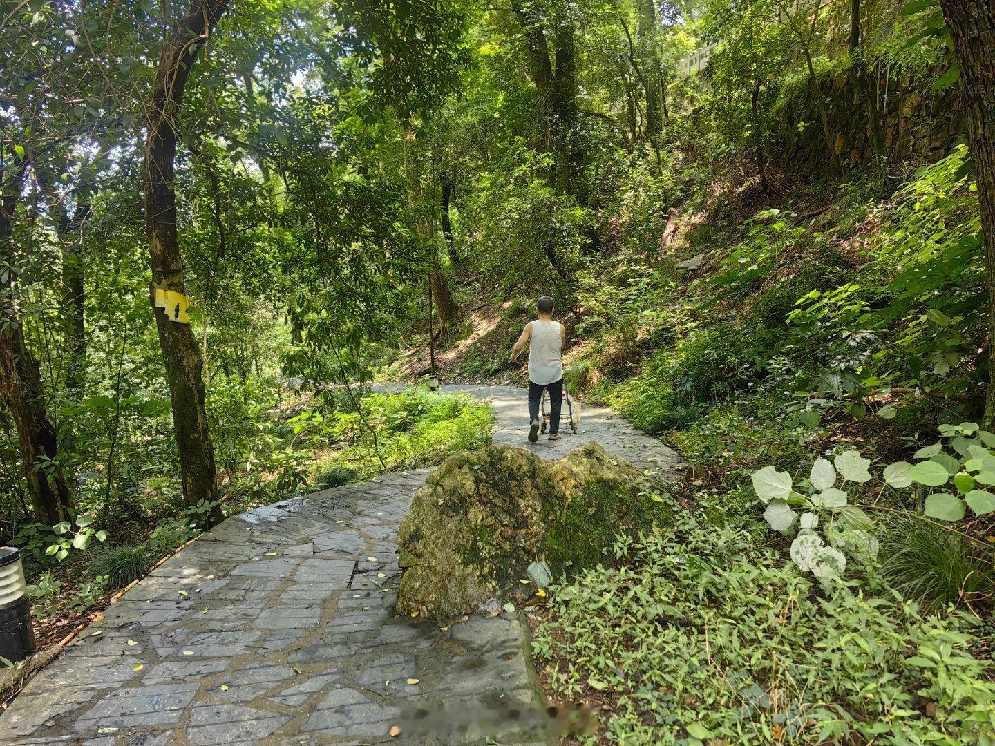 二里半师大后山的坡超陡，我现在是登山杖不离手，才爬上去的。这些山泉爱好者跟我杭虎
