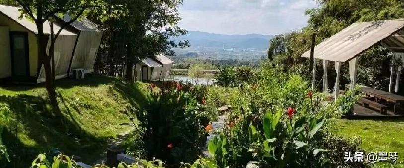 素人创作者的一万阅读量，没有惊喜，只有一声叹息！


 
凌晨两点改完标题按下发