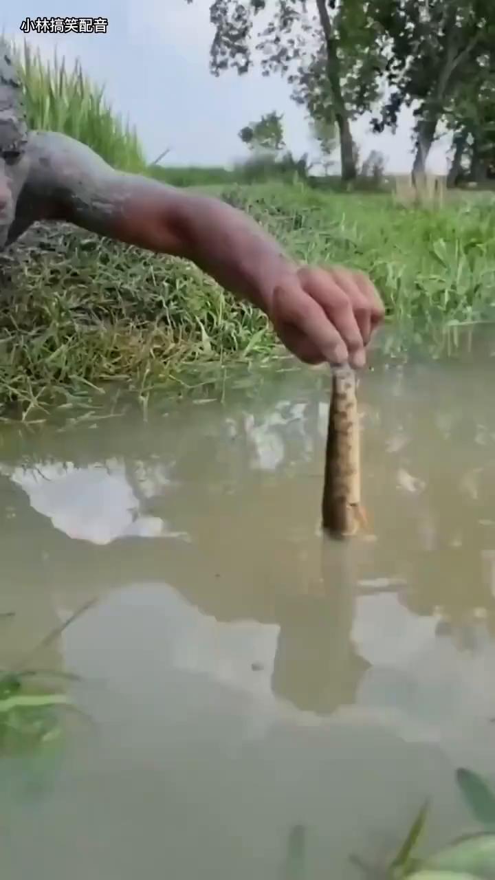 小林搞笑配音。