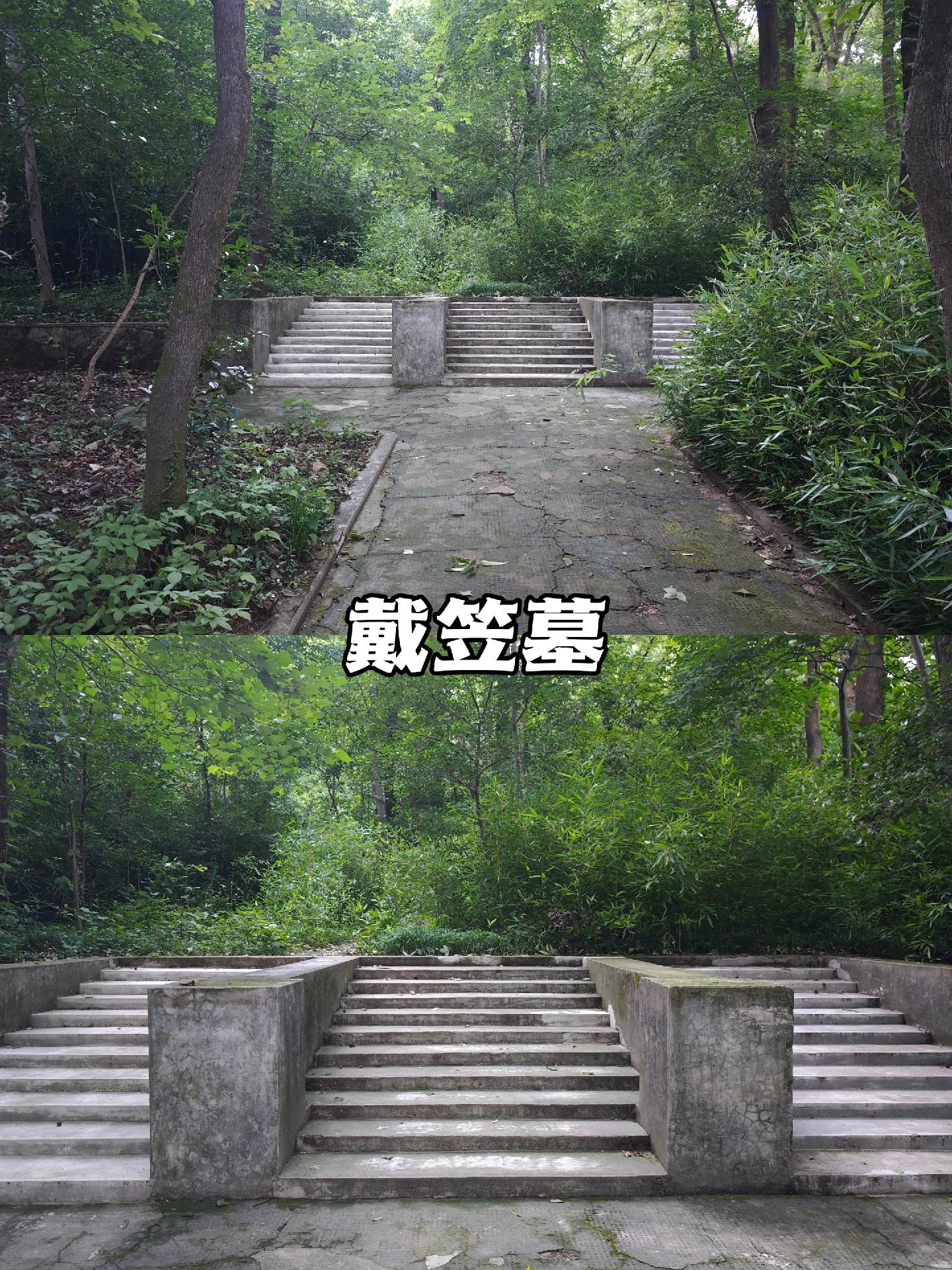 南京戴笠墓。戴笠墓位于南京市紫金山，毗邻中山陵，有一座有址无墓的墓，这...