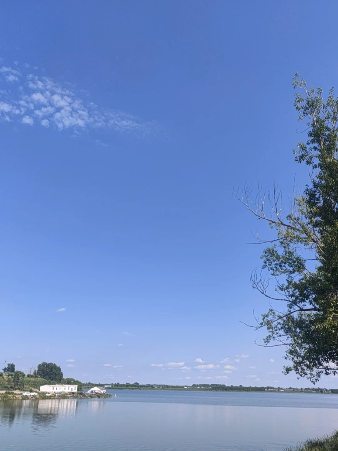 你不喜欢一个人为什么要关注她呢？