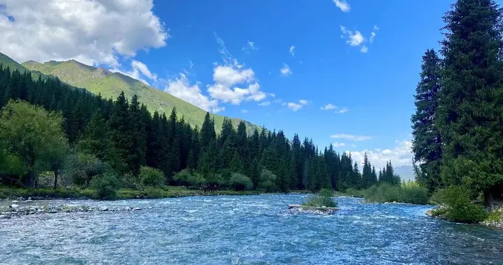 新疆维吾尔自治区|新疆旅游大火：游客自发捡拾景区垃圾，闲置私家车加入租赁行业