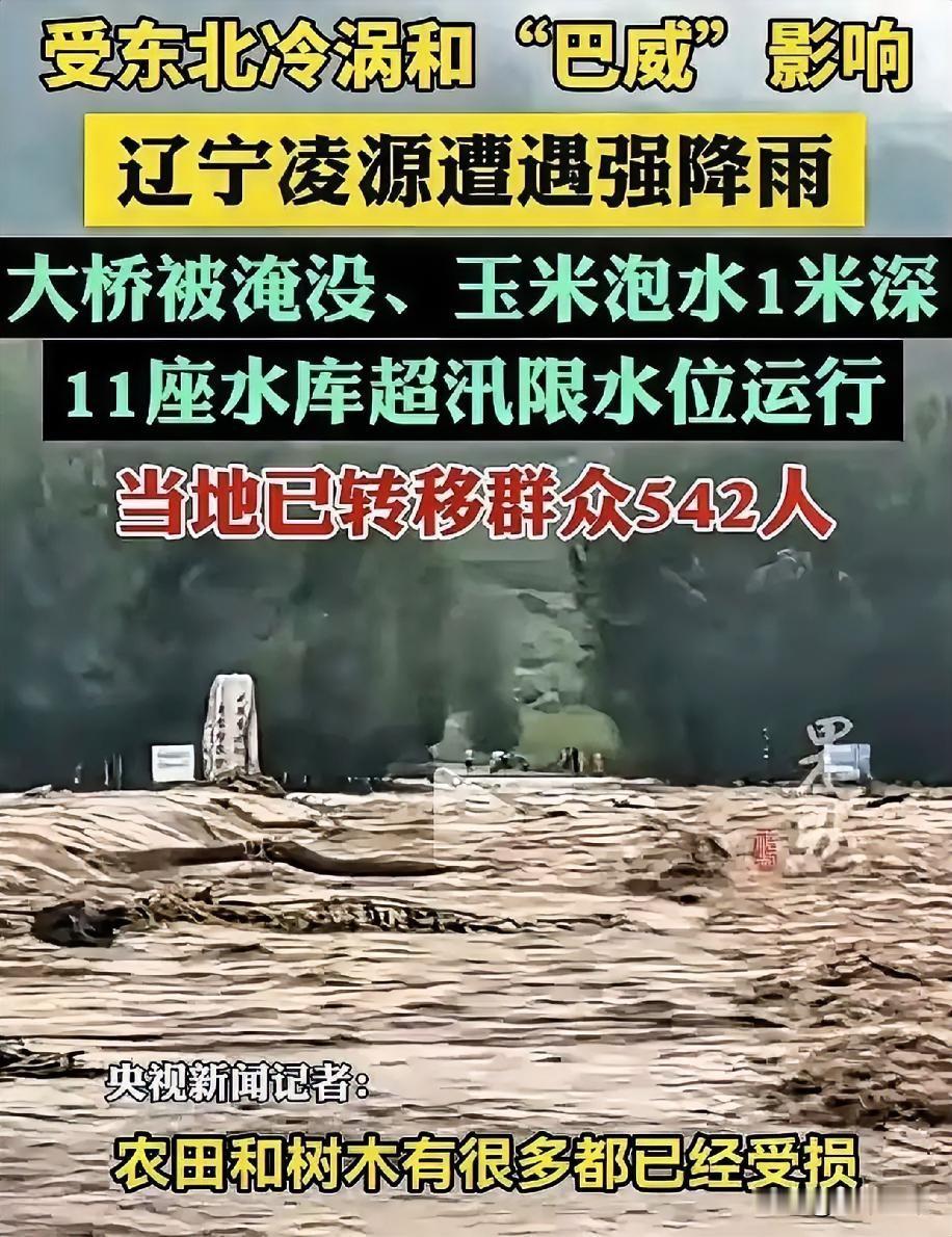 浙江人懵了，
江苏人也懵了，
估计连辽宁人自己也懵了，大家怎么也没想到，本来应该