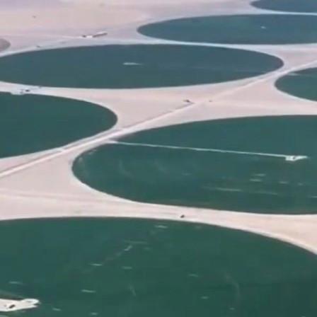 沙海绽新绿，兵团写传奇
塔克拉玛干，这片被称为“死亡之海”的中国最大沙漠，曾是飞