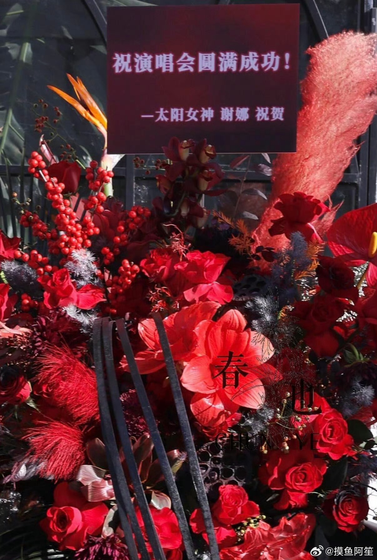 谢娜、小城良方剧组、柠萌影视、QQ音乐都给肖战南京演唱会送了花篮祝巡演首站顺利，