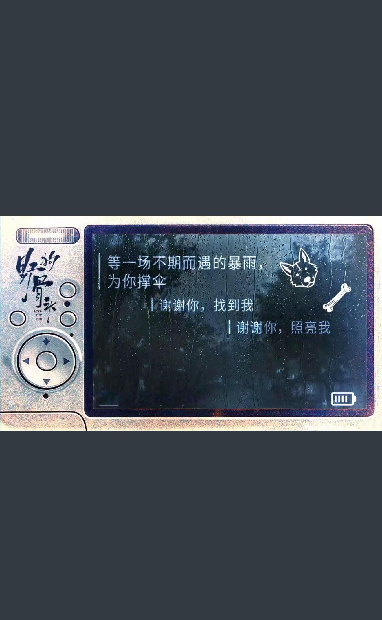 野狗骨头官抖背景张婧仪苗靖