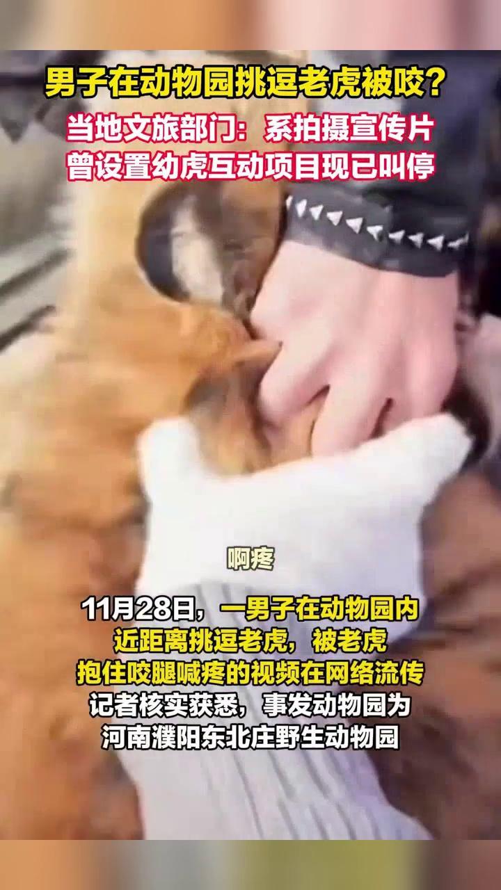 11月28日在河南濮阳东北庄野生动物园内发生的男子被老虎咬腿事件，官方已做出回应