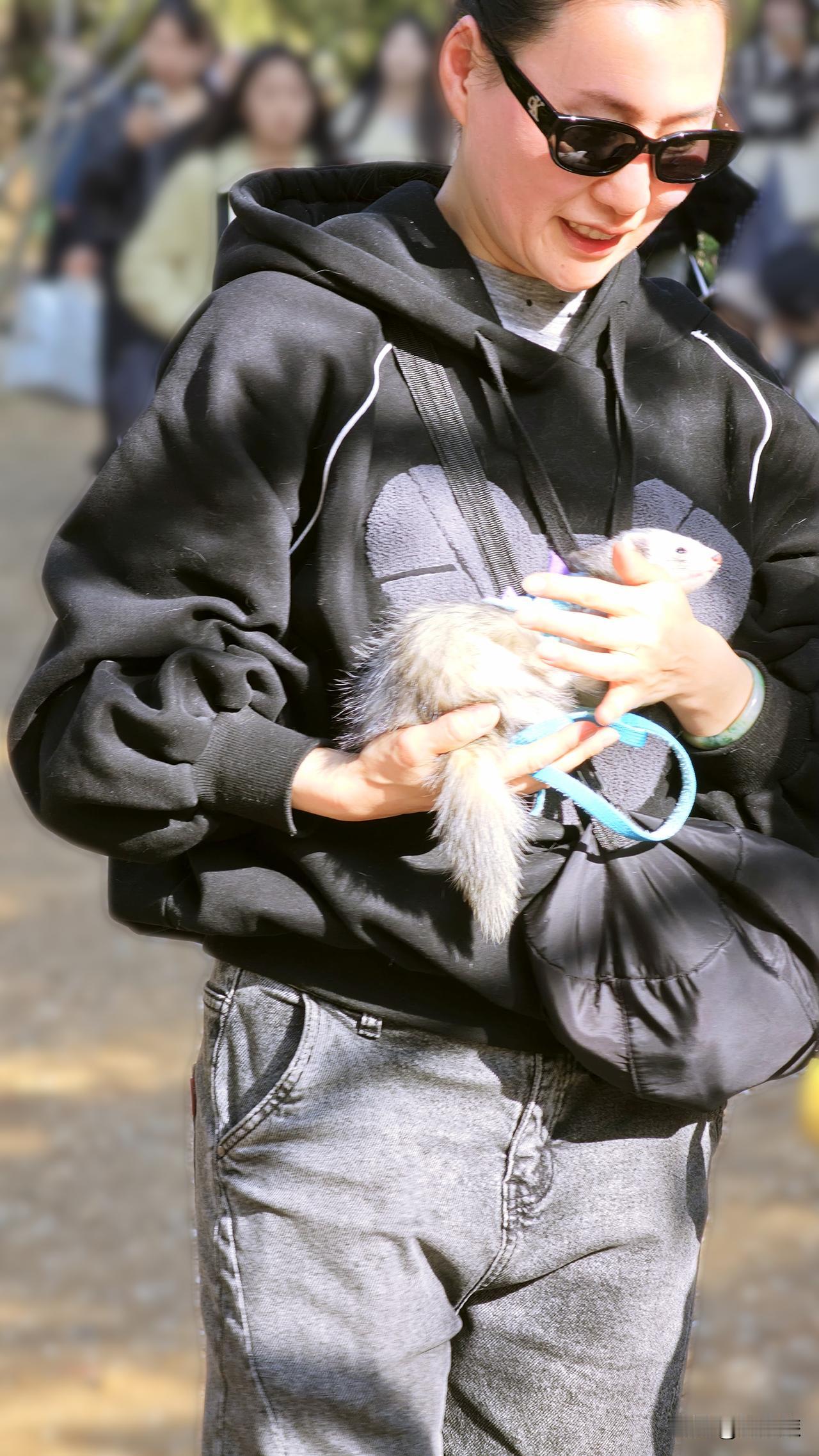 在公园里看到一位美女怀抱小雪貂在樱花树下拍照。查了一下，小雪貂又名安格鲁貂，超级