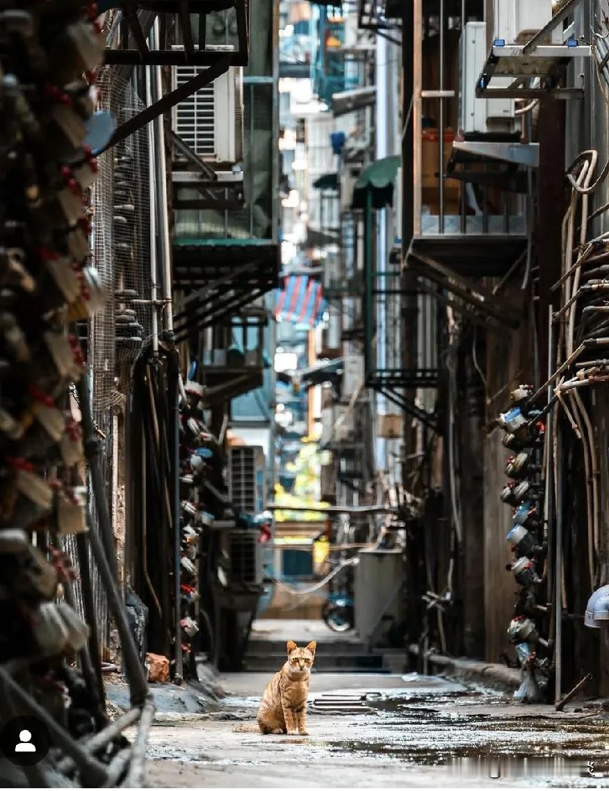 与澳门赌场同样有味道的是澳门小巷。

澳门街景1 澳門隨街拍 澳门古街区 澳门·