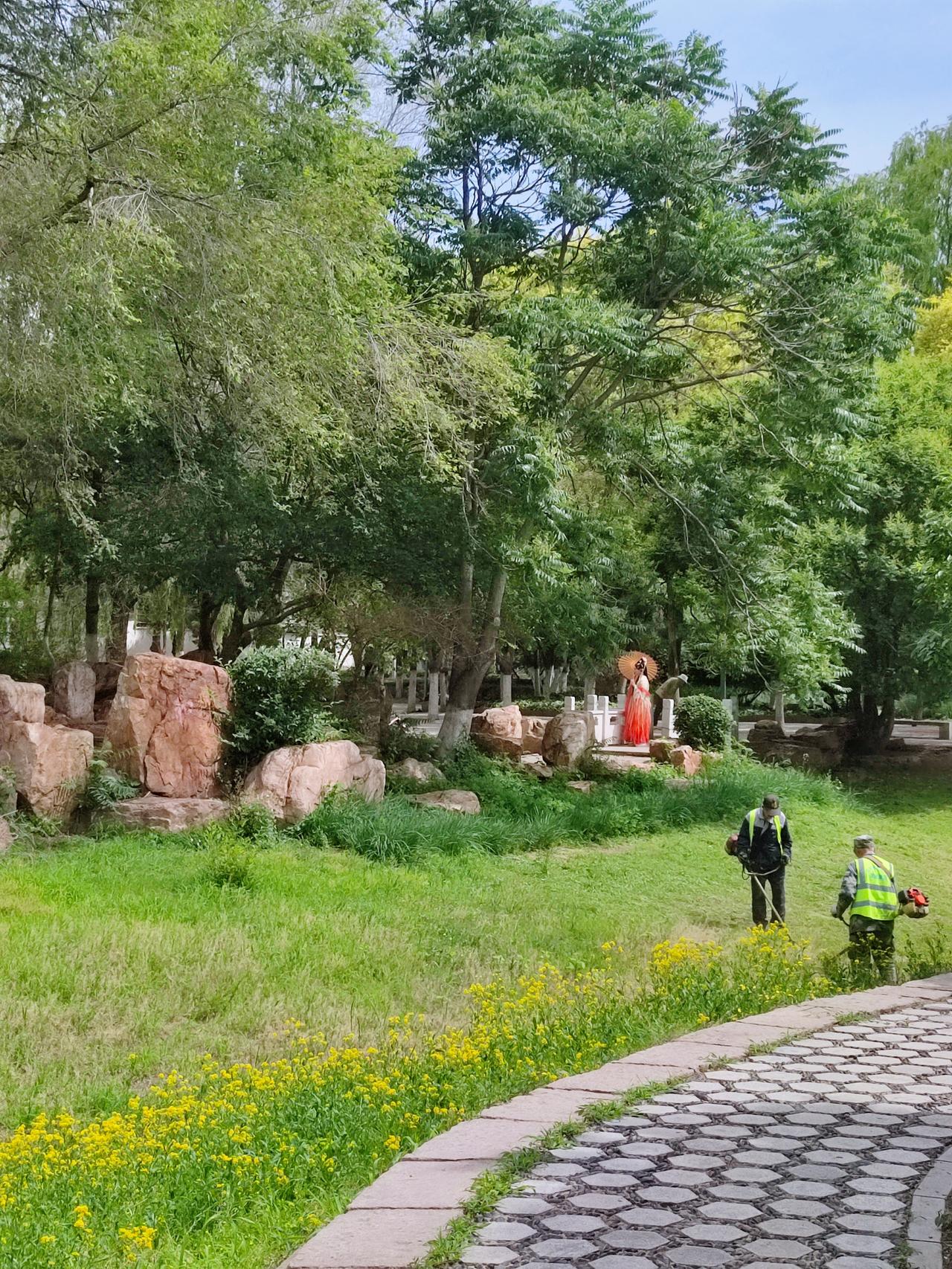 《夏芳园》景色一观
   沈阳环城水系慢道夏芳园，位于沈河区万泉公园西侧，以园林