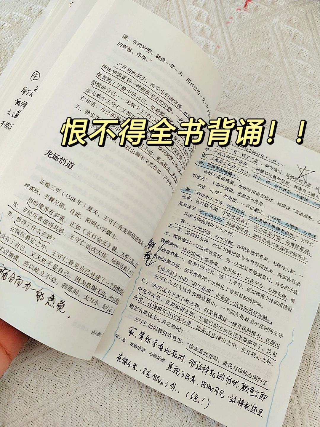 不愧是王阳明，让我大彻大悟❗