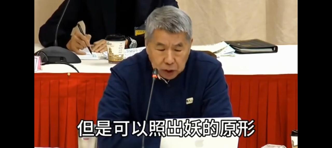 郑丽文偷着笑，启用张亚中是她最明智也是最有价值的决定。
纵观国民党内部唯一具备理