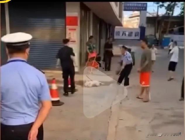 城管开始杀狗了，手持铁掍出现在大街小巷，看到狗狗就打，有网友表示赞同，万一咬到人