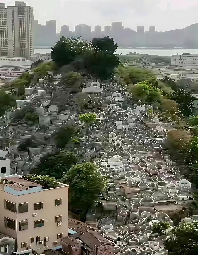 从有土葬开始中国死了几十亿人，耕地也没被塞满！占山头、卖墓穴是从火葬开始的。说白