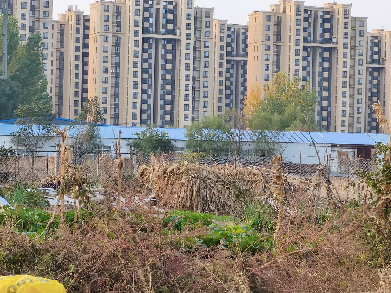 实拍疑似孔雀城便民市场施工现场✨
这片地块正在搭建帐篷式疑似便民市场，身后就是成