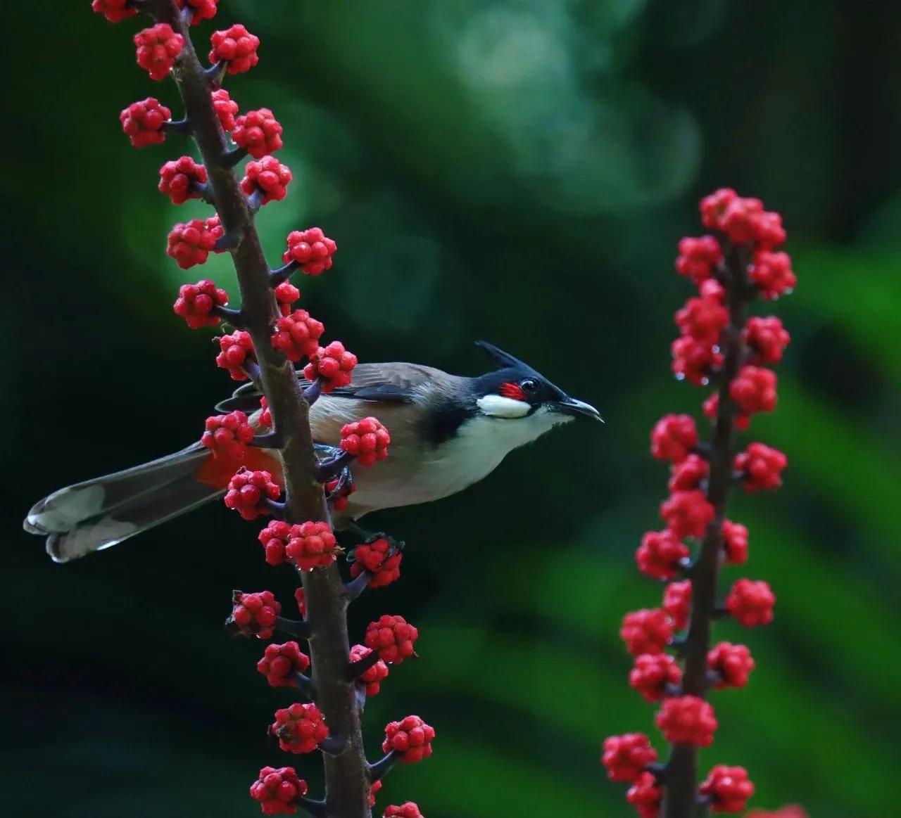 #我逛过的绝美公园#
花城金秋十月，微风轻拂，带来丰收的欢欣。珠江公园，化身为繁