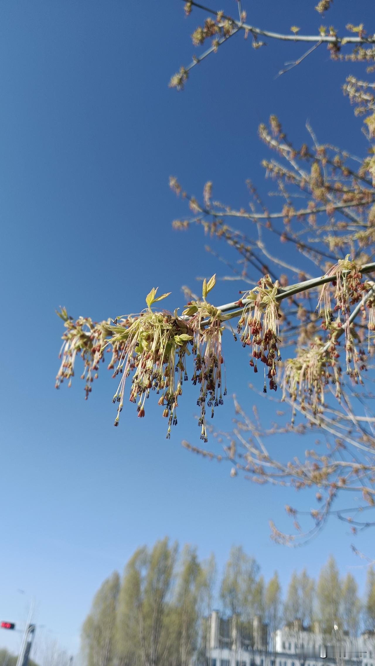 我的下联是：迷迷糊糊真迷糊。
