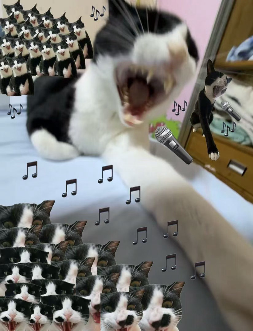 周末来点meowsic！奶啵展馆 （制图：） 