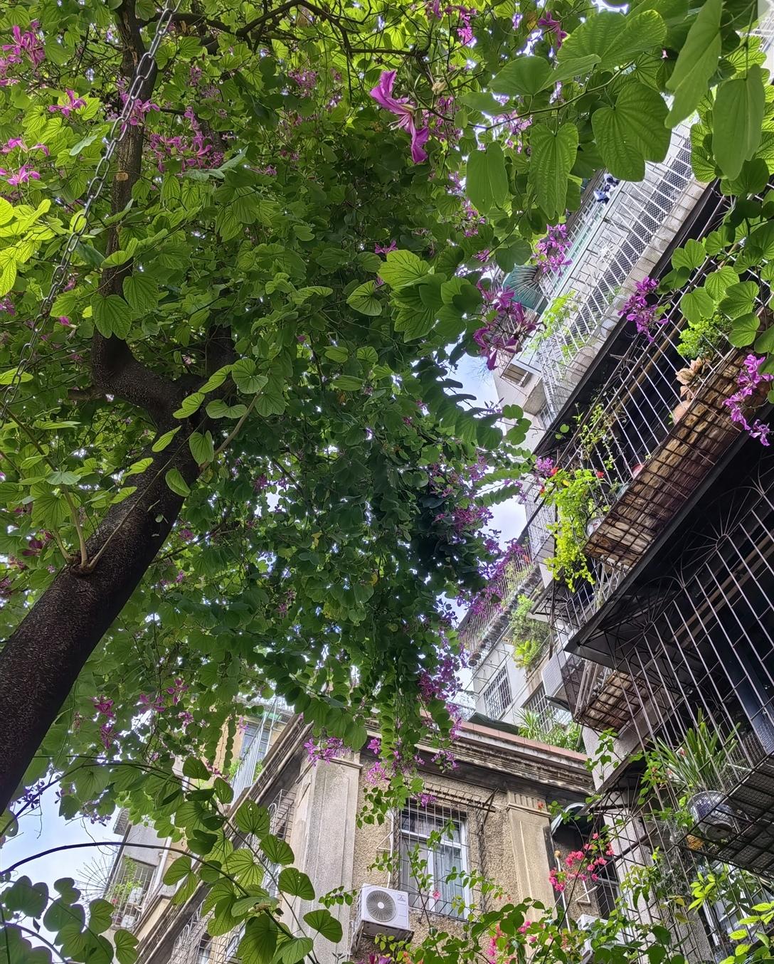 你会不会把自己在市中心的老破小房子卖了？然后到近郊买新的电梯房？我同事在越秀区有