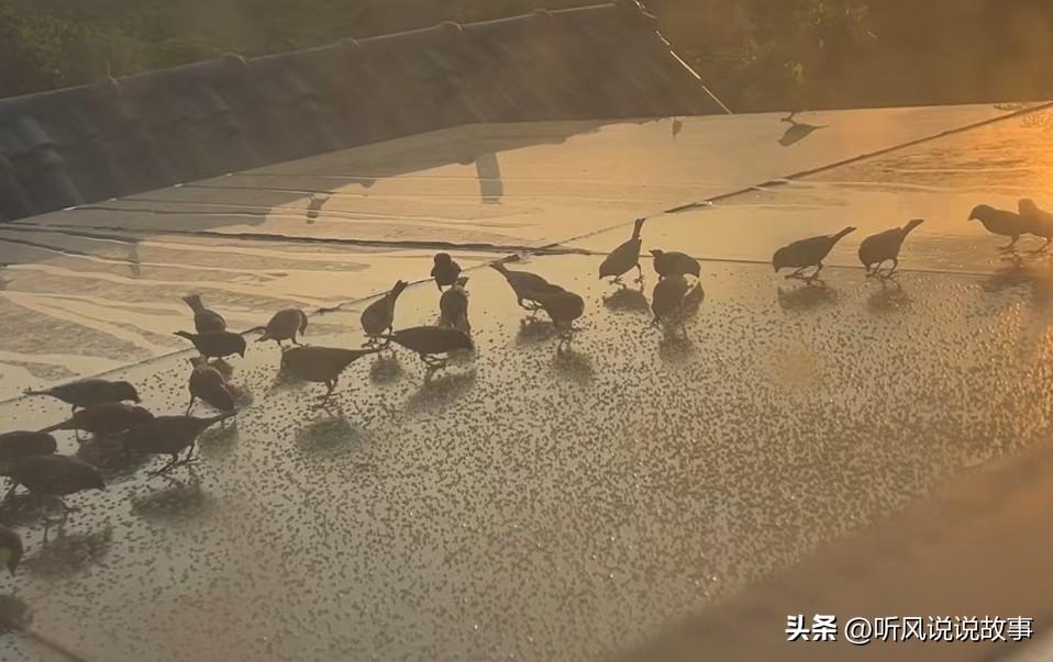❤️提升自身商业价值，已经成为这个时代的标配。优秀没有用，你是狗就要做狗的事，你
