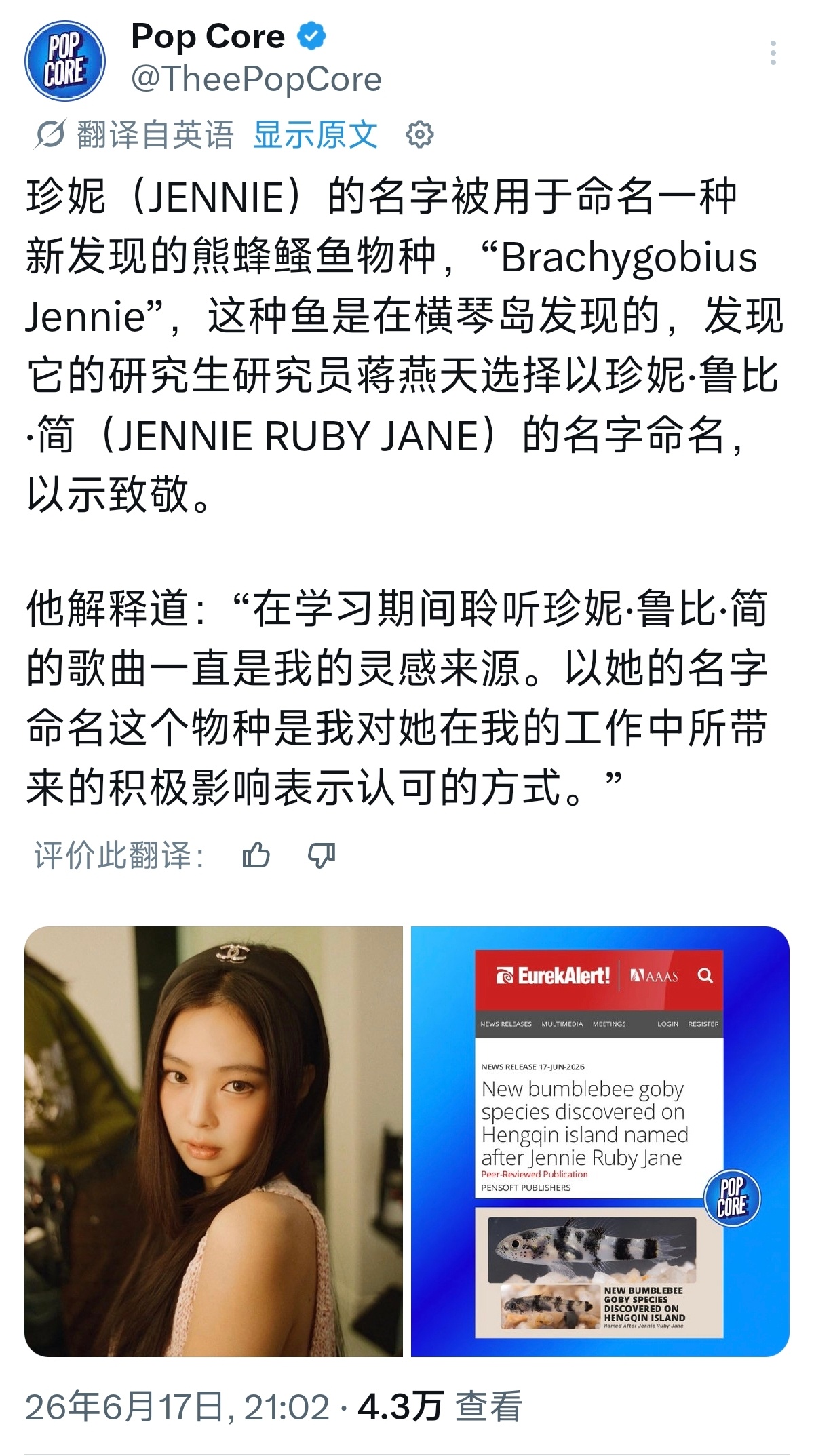 鸡驴蛙新物种什么时候出现 
