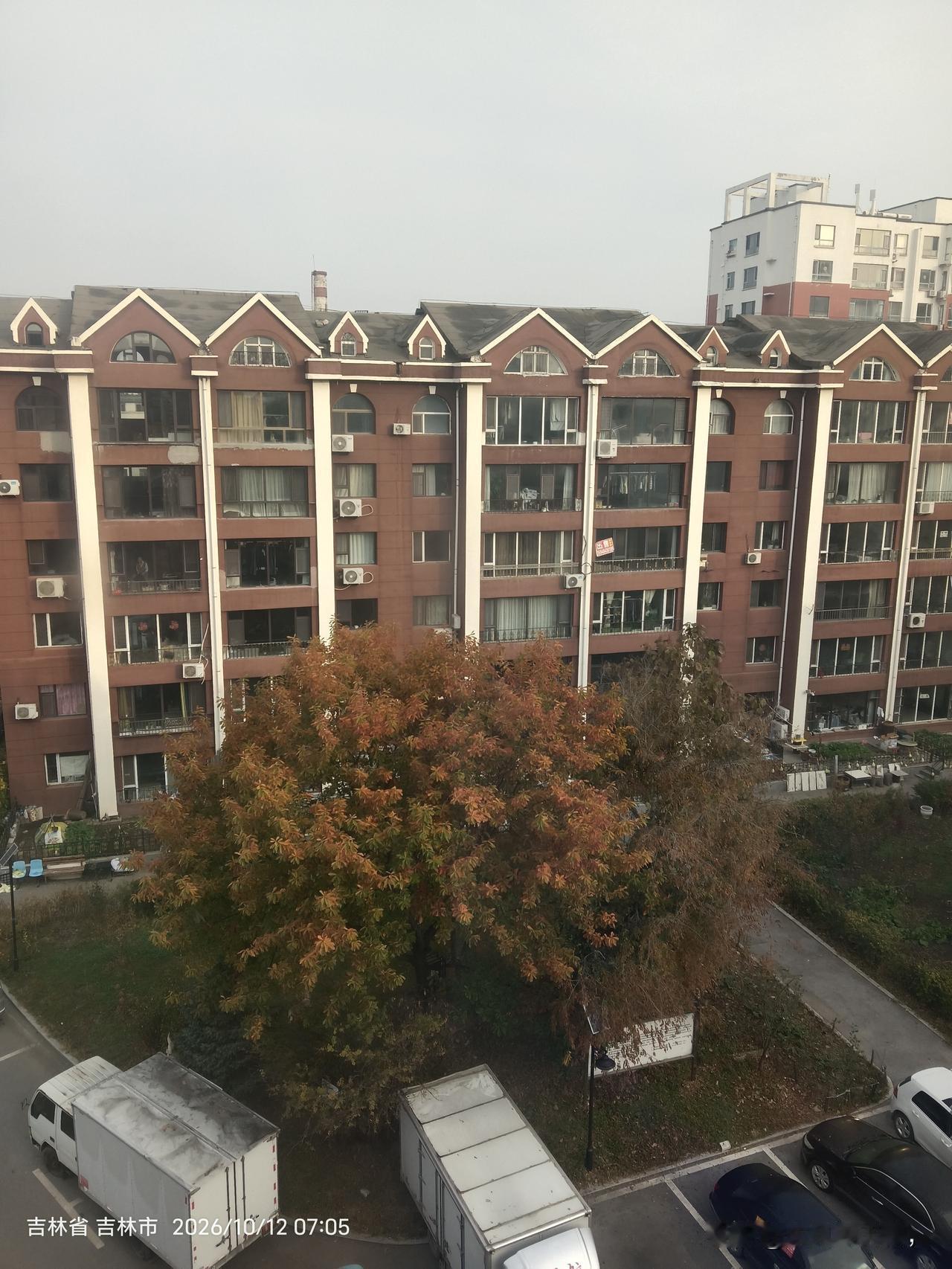 国家要给老楼安电梯了

今天下午和老妈在家，一点多钟有人敲门，是社区的一个工作人